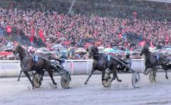 Maharajah vinner före Up and Quick och en galopperande Ready Cash. Foto; C.Kärrstrand/Hingstfotografen