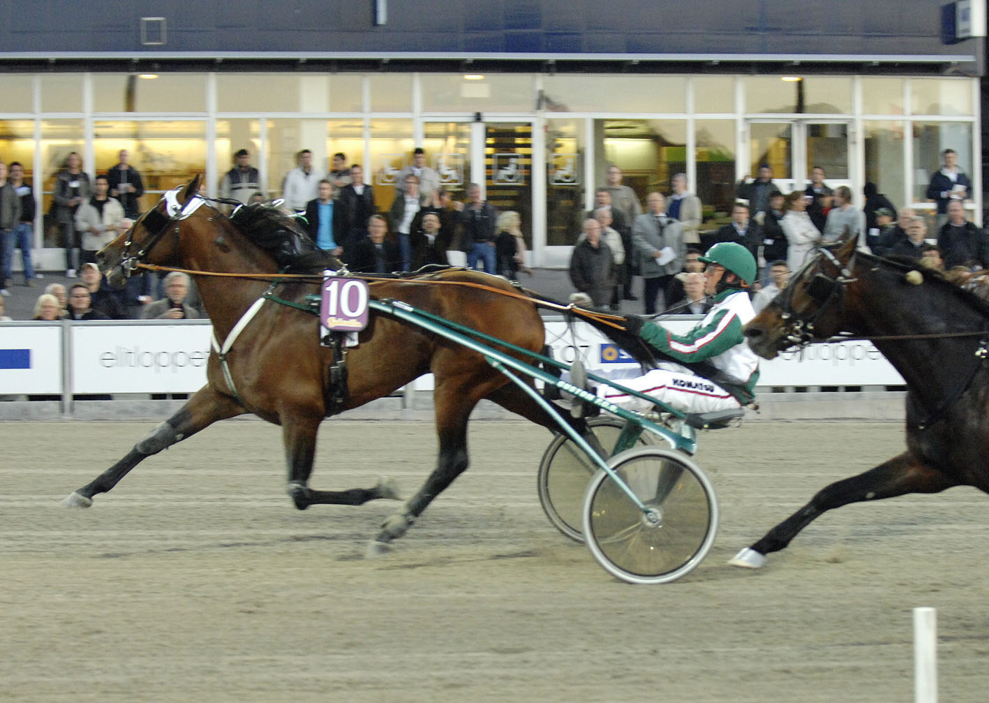 Jocose spurtar till sig en Elitloppsbiljett. Foto; ALN