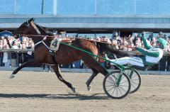 Maharajah var helt överlägsen i Olympiatravet.