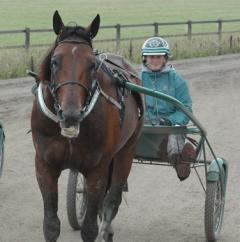 Maharajah och Lisa är laddade inför morgondagens lopp. Foto; A.Lindblom/Travkompaniet