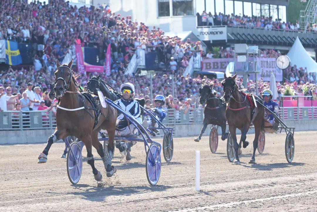 horsy-dream-mal-elitloppet-final-1080x721-jpg