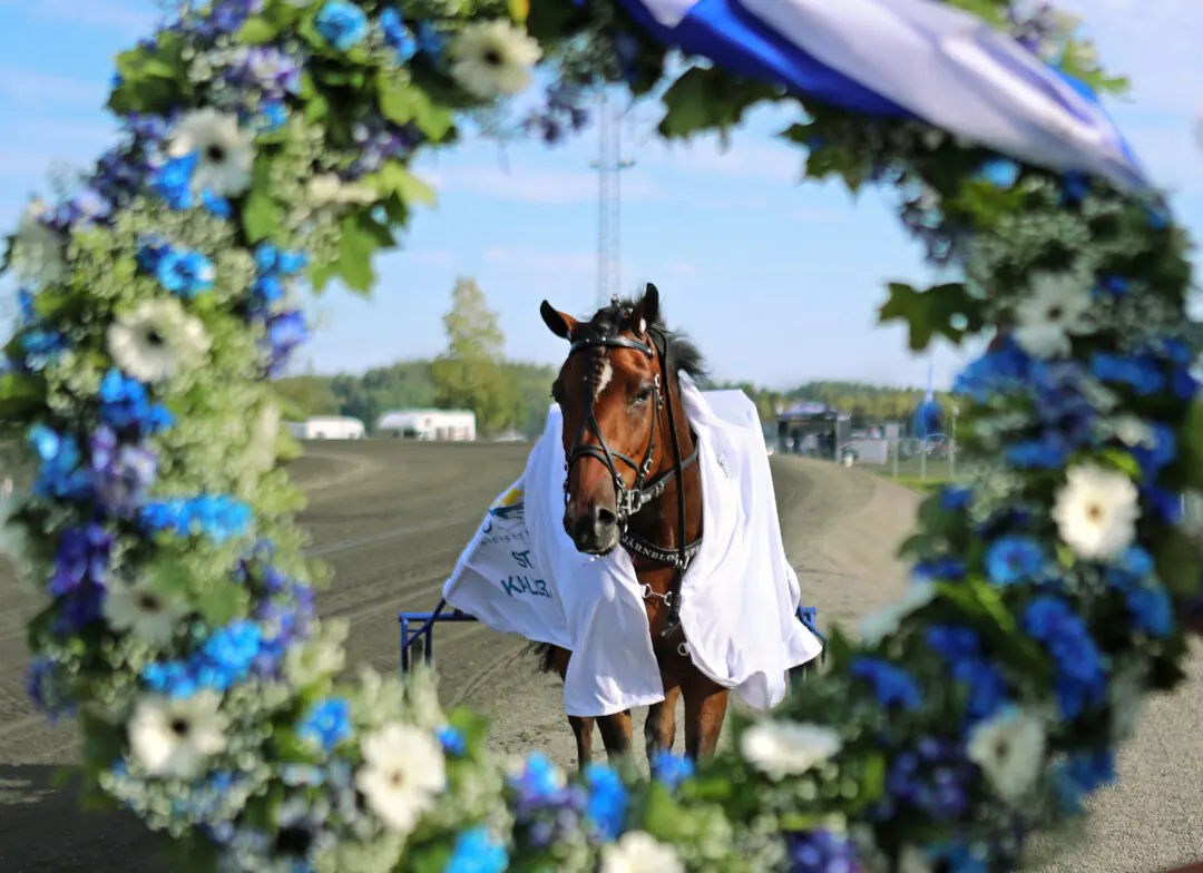 stjarnblomster-segerkrans-1080x784-jpg