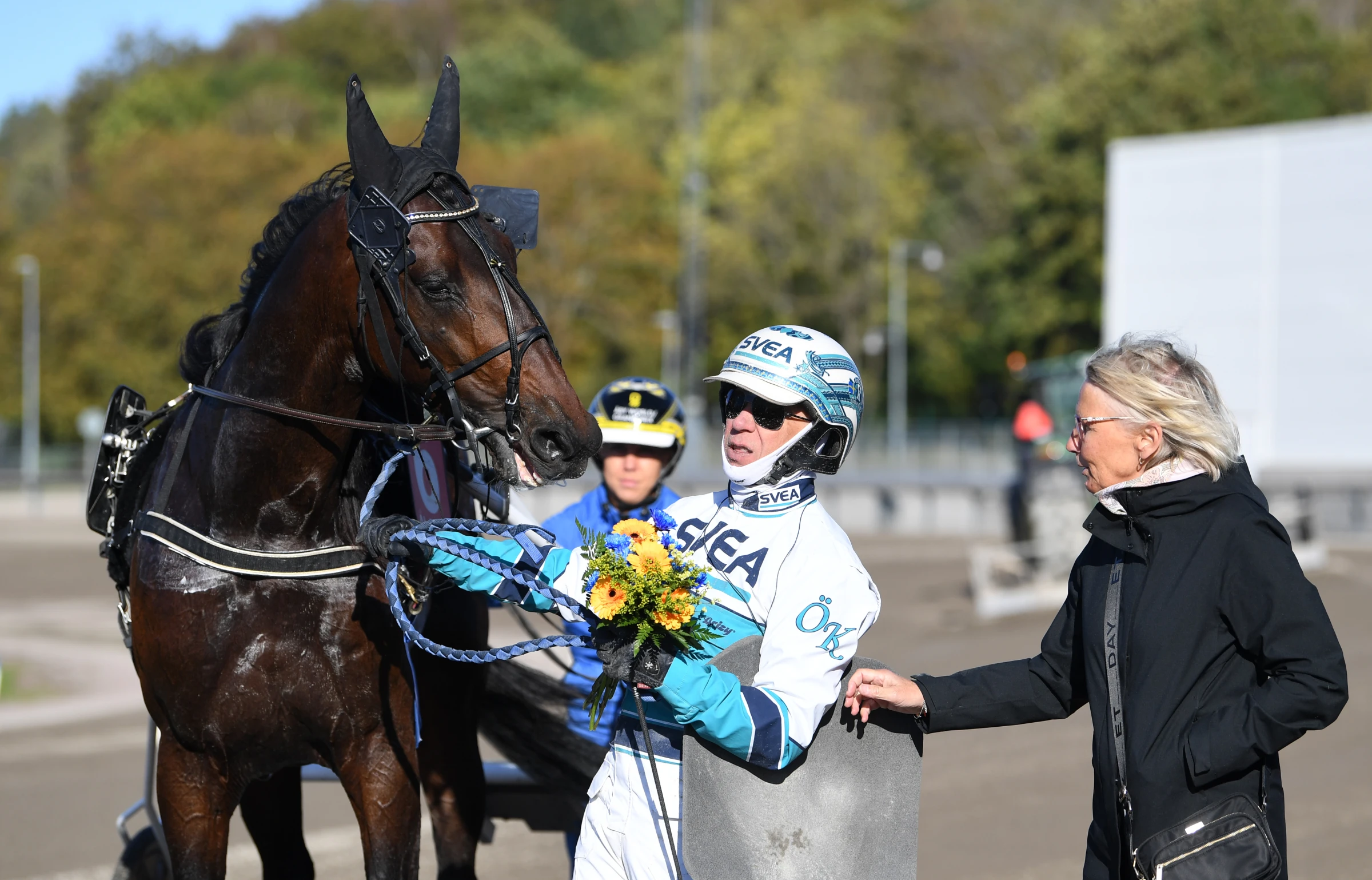 Epic Kronos svenskt hopp i Europaderbyt som avgörs på Vincennes nästa vecka. Foto: Malin Albinsson, TR Bild