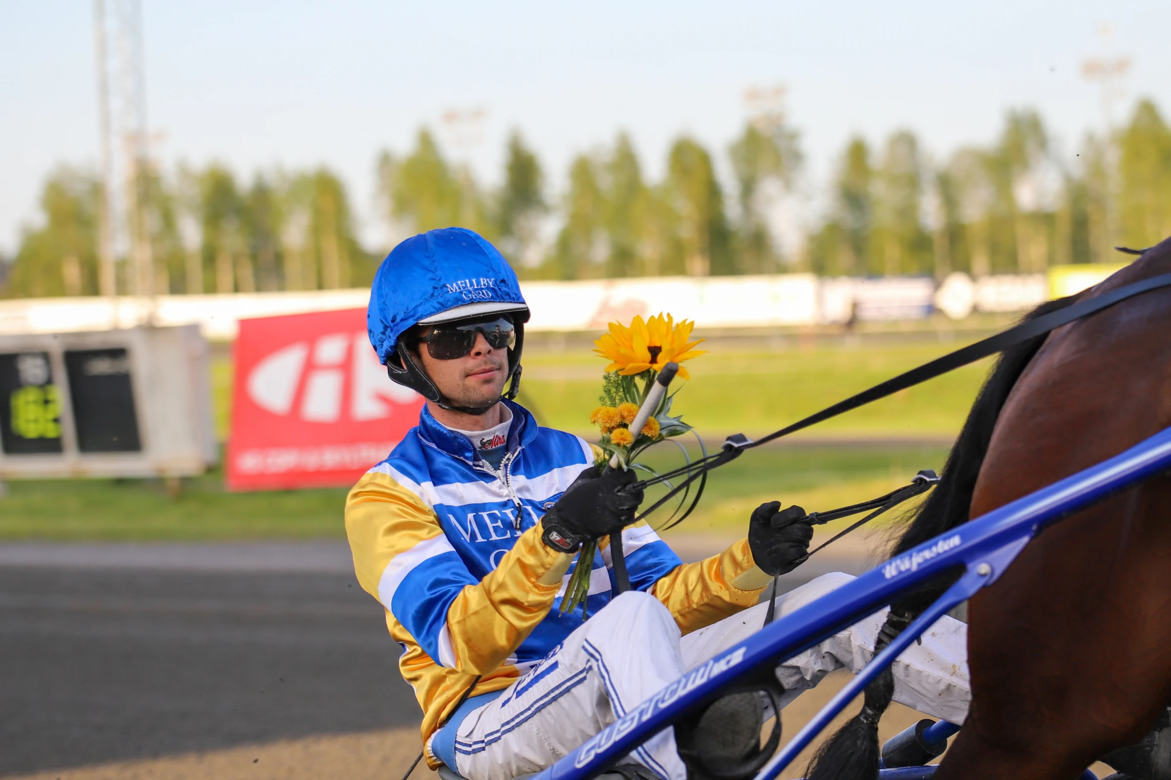 Daniel Wäjersten har firat stora framgångar och varit ett mycket bra spelobjekt när det arrangerats V75 på Bodentravet. Foto: Sophie Nyblom/TR Bild