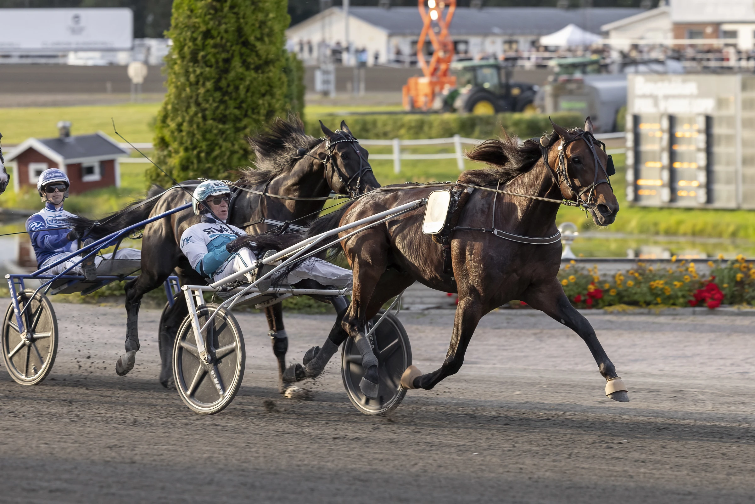 Francesco Zet besegrar Borups Victory i Sundsvall Open Trot. På fredag ska duon försvara de svenska färgerna i Paris. Foto: Lena Emmoth/TR Bild