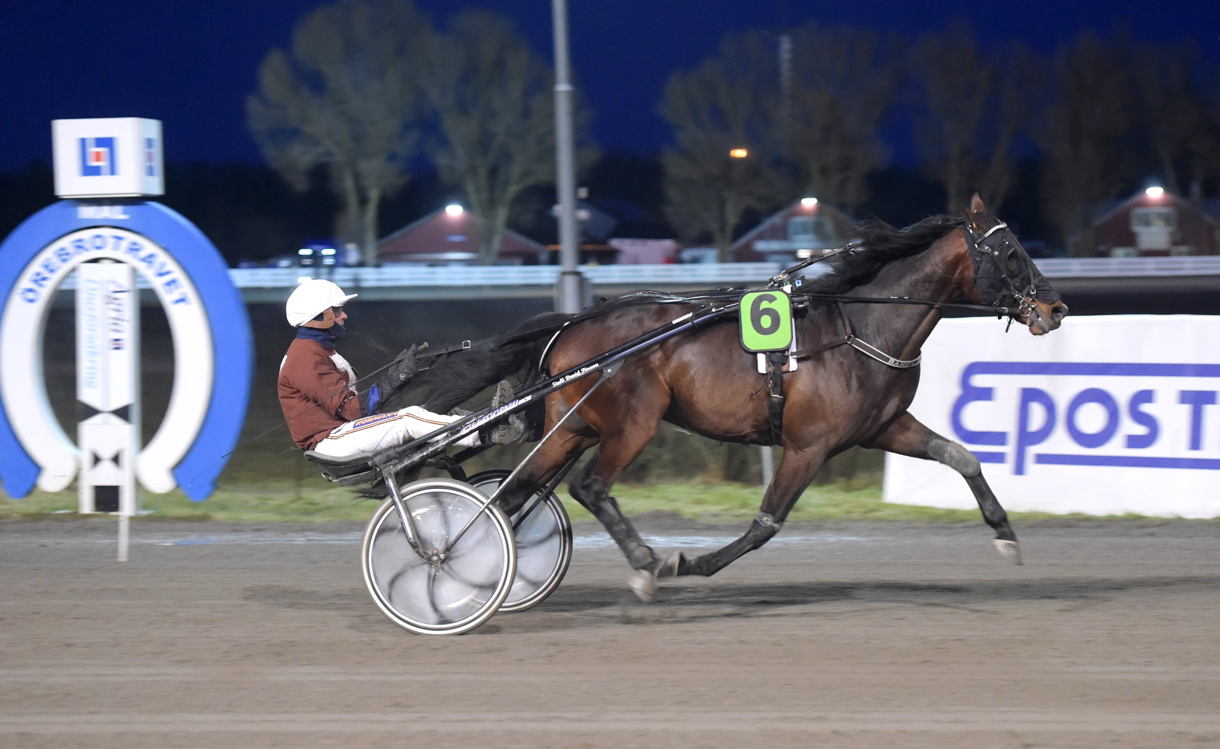 Baron Tilly är tillbaka på tävlingsbanan igen och siktar mot Breeders Crown. Foto: Lars Jakobsson, TR Bild