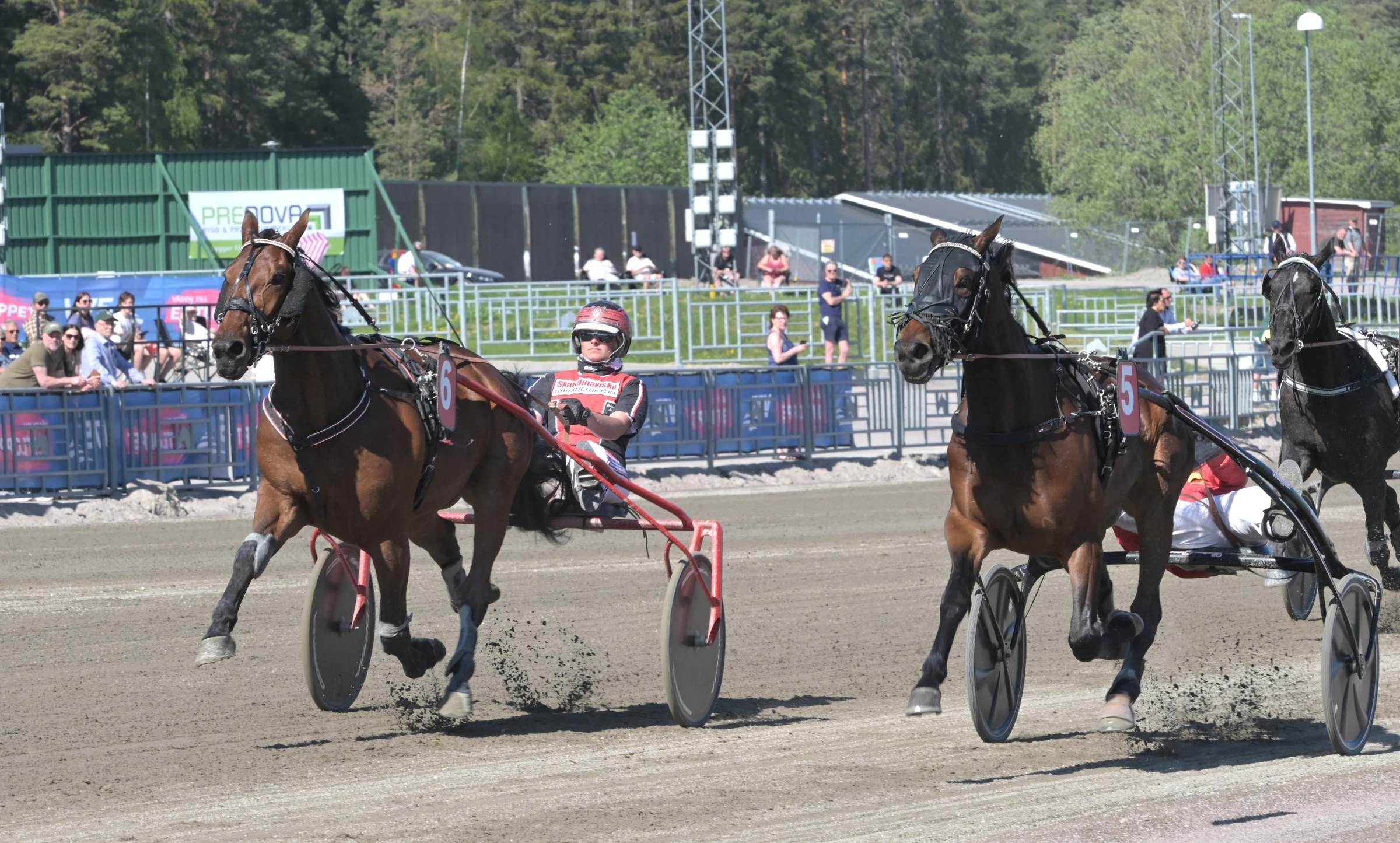 Johanna Lind vinner med Marseille i Gävle i maj i år. Foto: Lars Jakobsson, TR Bild