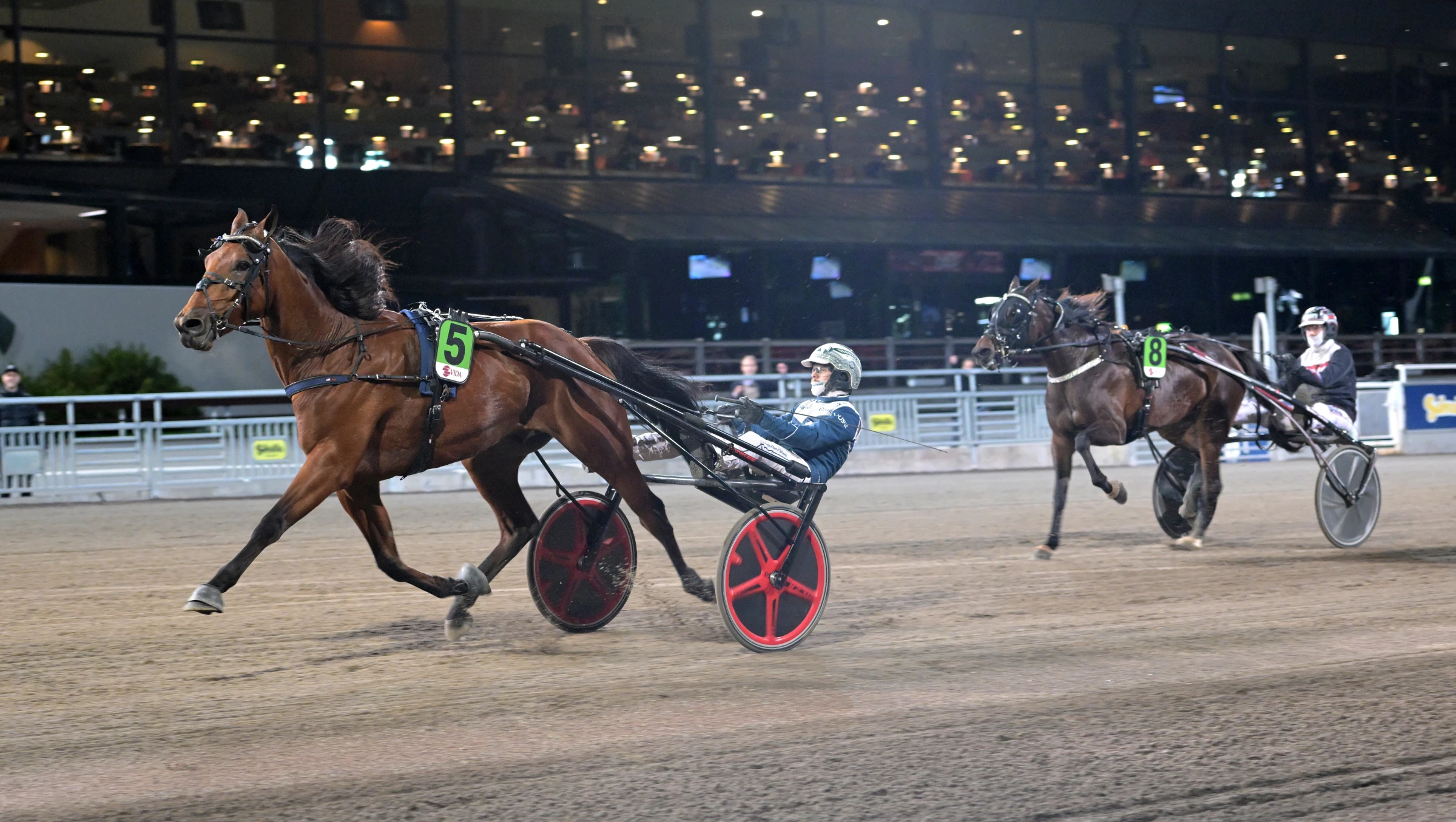 Jongleur briljerade på skarpa segertiden 1.10,5 under oktoberkvällen på Solvalla. Foto: Lars Jakobsson, TR Bild