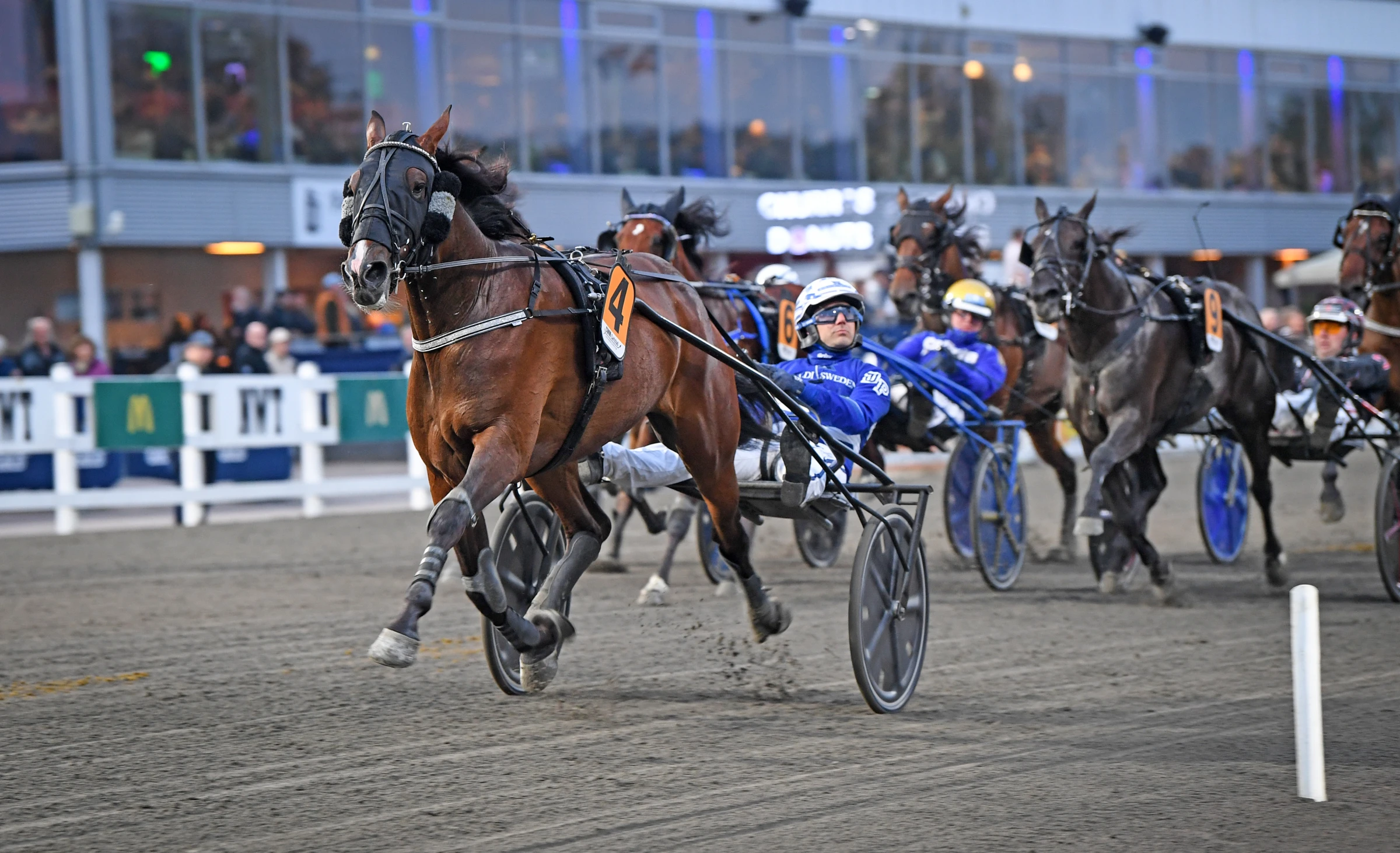 Bicc's Tobee vinner bronsdivisionen på Färjestad i september på uppseendeväckande tiden 1.09,6 över 1640 meter auto. Dwight Pieters kör även på söndag, Foto: Malin Albinsson, TR Bild