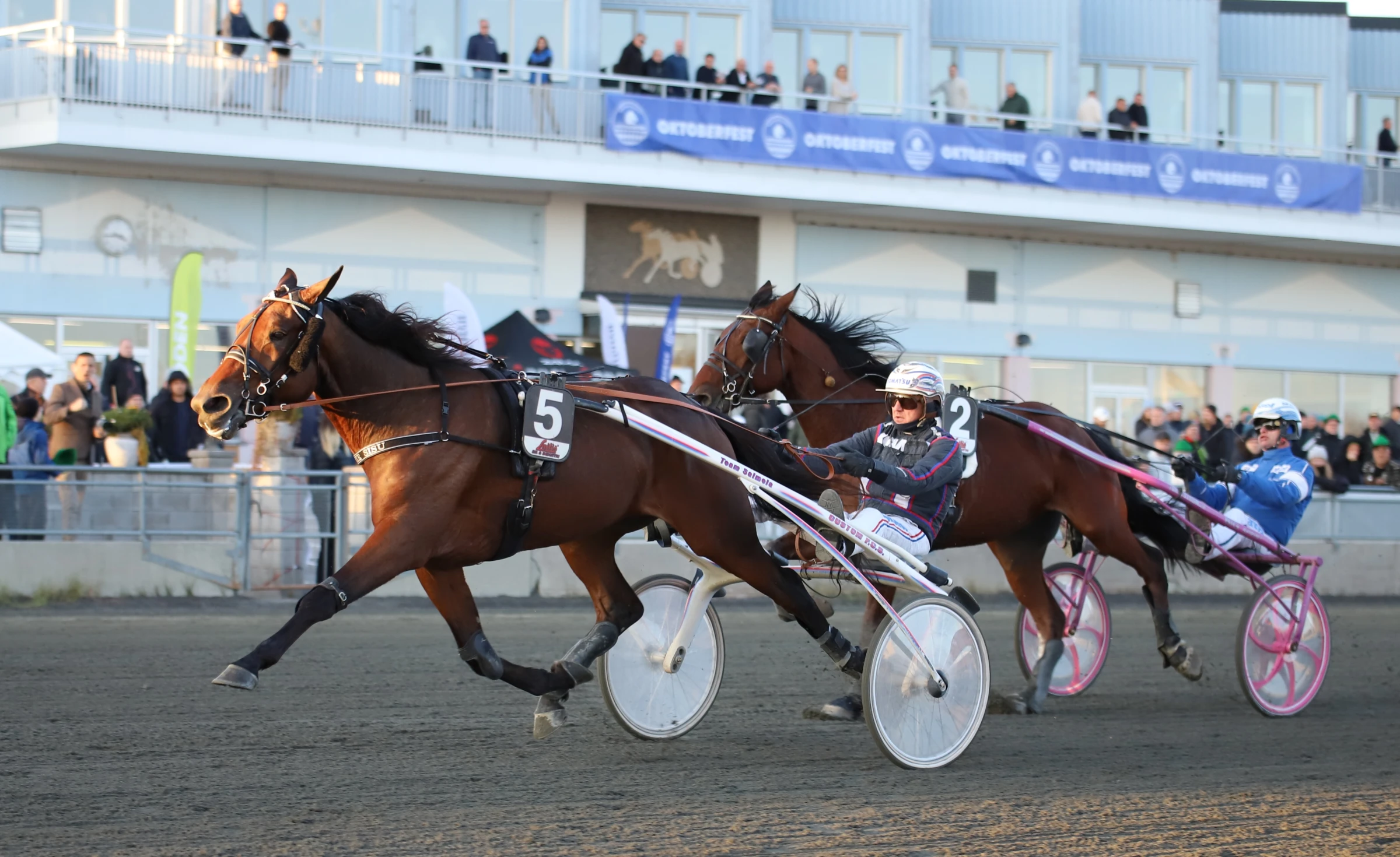 Petri Salmelas bästa chans i dag är 11 Jamie Sisu V65-5.