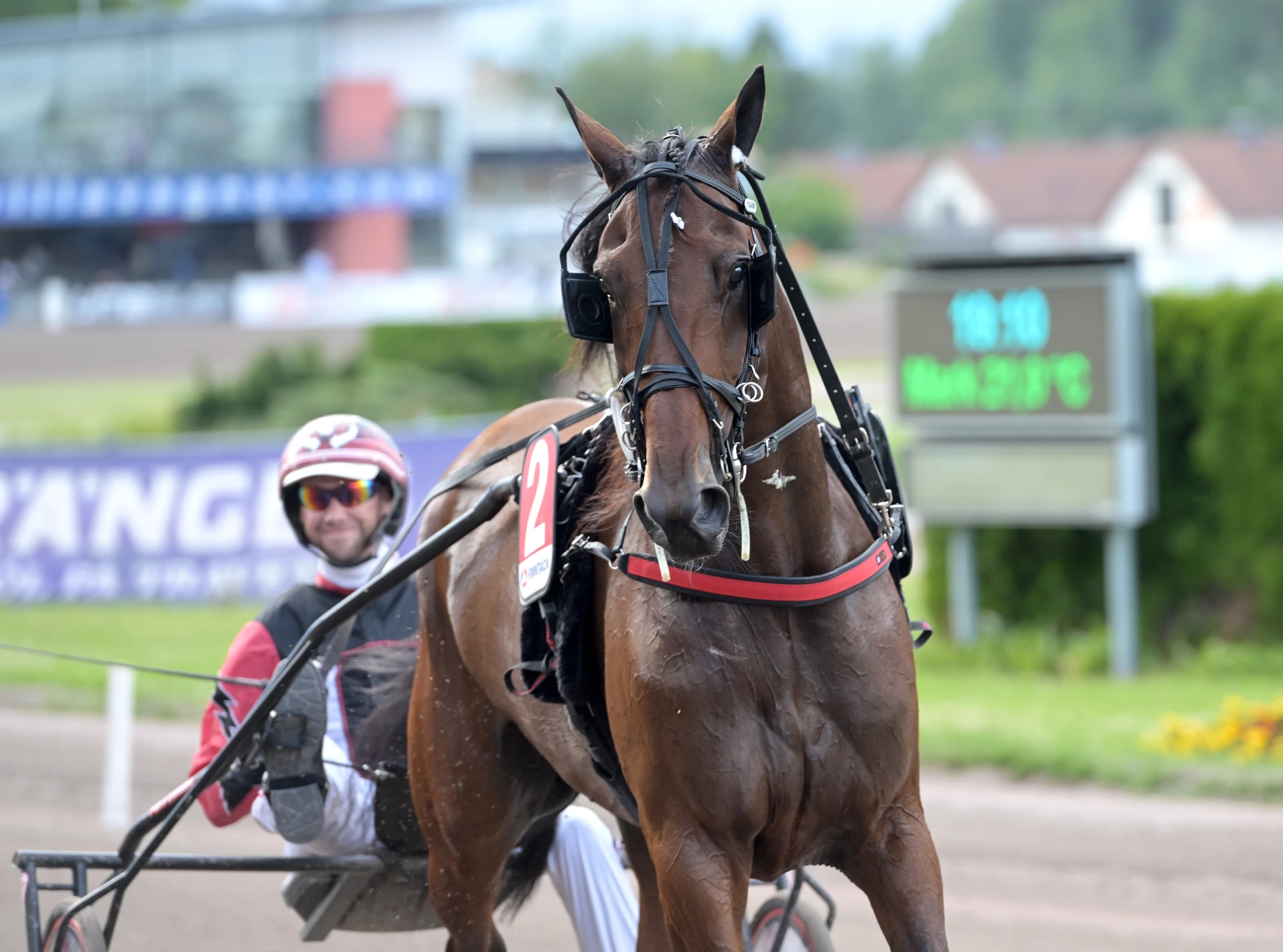 Dags för Lozano di Quattro att få en fullträff nu? Foto: Lars Jakobsson, TR Bild