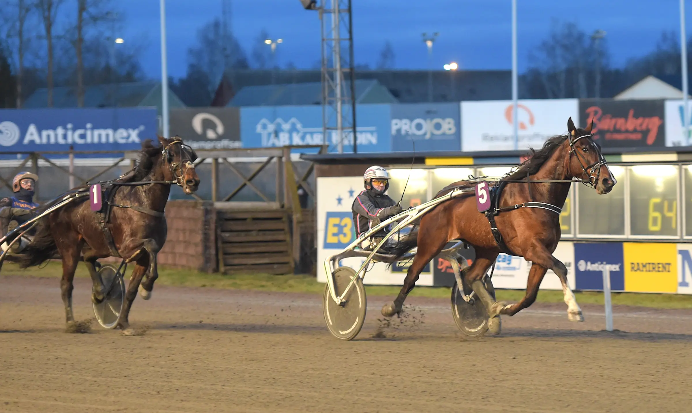 Great Time Trot vinner tillsammans med Ulf Ohlsson. På lördag jagar duon en ny seger på V75. Foto: Lars Jakobsson/TR Bild