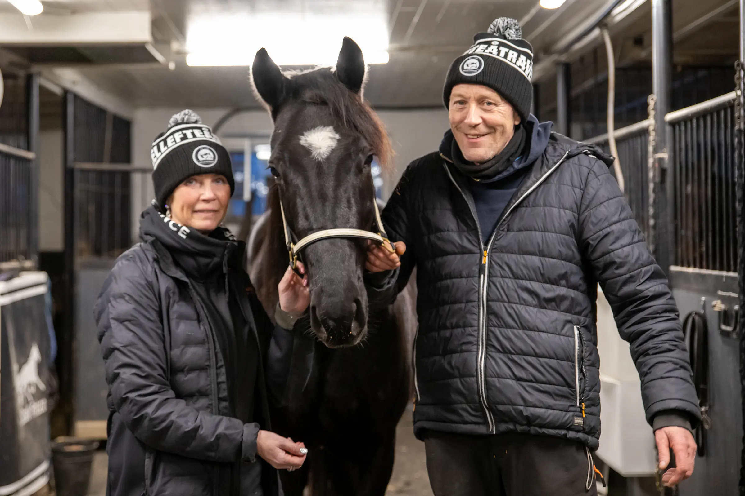 Par i trav. Ove A Lindqvist och Ann-Catrin Frisk har köpt segerstaplaren Cool Trix från Norge som gör en spännande start i V75 i Östersund (hästen på bilden är treårige Jazz for Sass). Foto: Sophie Nyblom, TR Bild