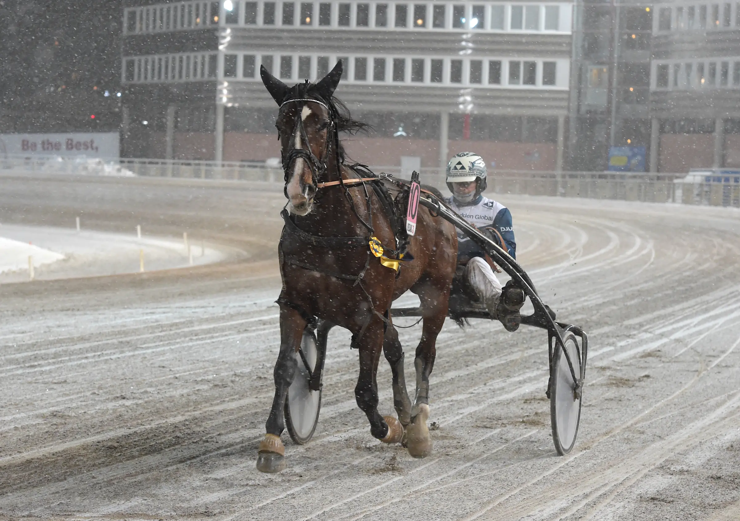 Foto: Lars Jakobsson / TR Bild.