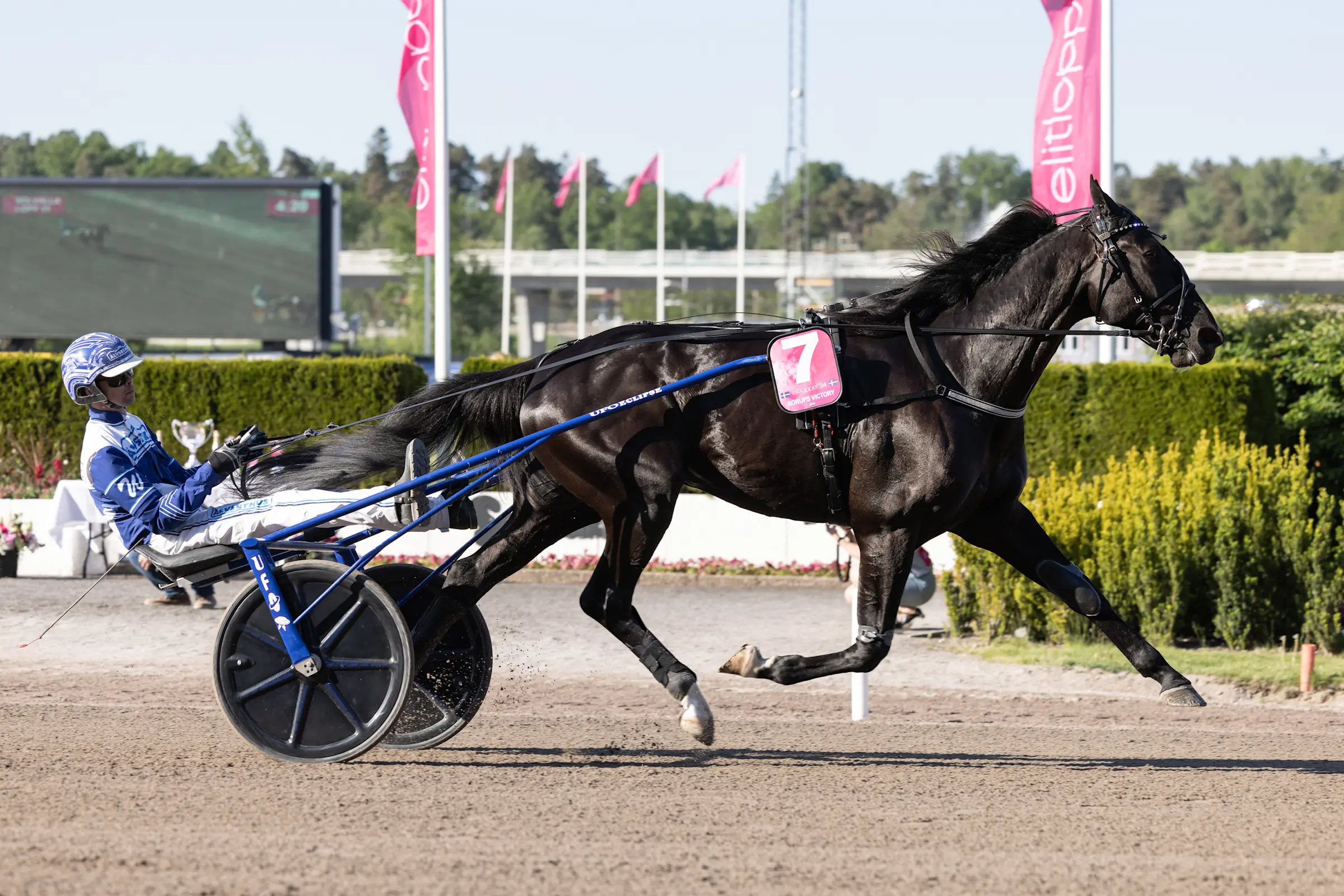 Borups Victory och Daniel Wäjersten. Foto: Lena Emmoth, TR Bild