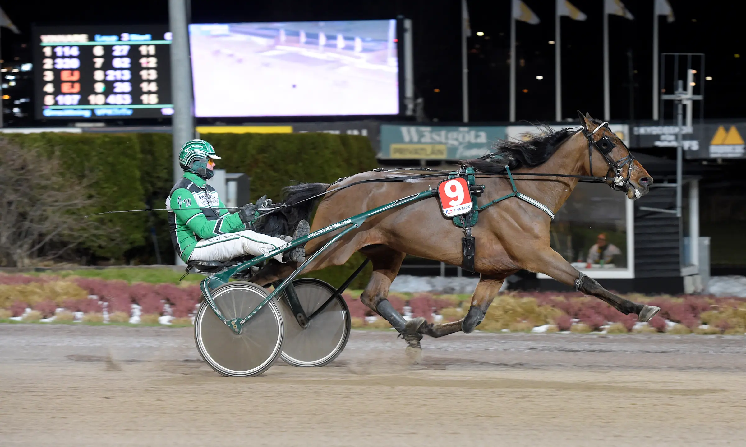 Dirty Martini vid en tidigare seger för Jörgen Westholm. Foto: Lars Jakobsson, TR Bild