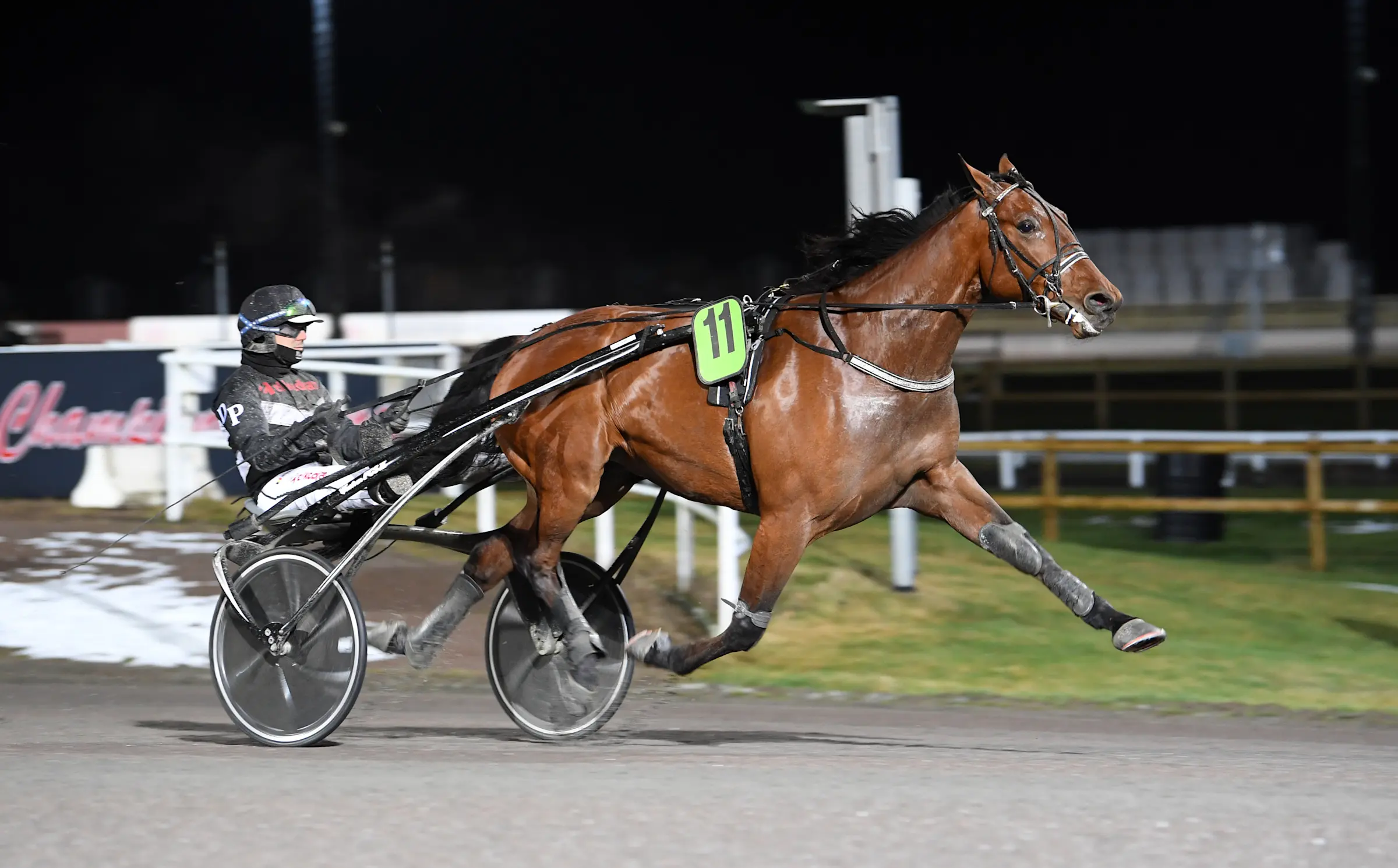 Jackpot Mearas imponerade när han vann V86-7 tillsammans med Dwight Pieters. Foto: Malin Albinsson/TR Bild