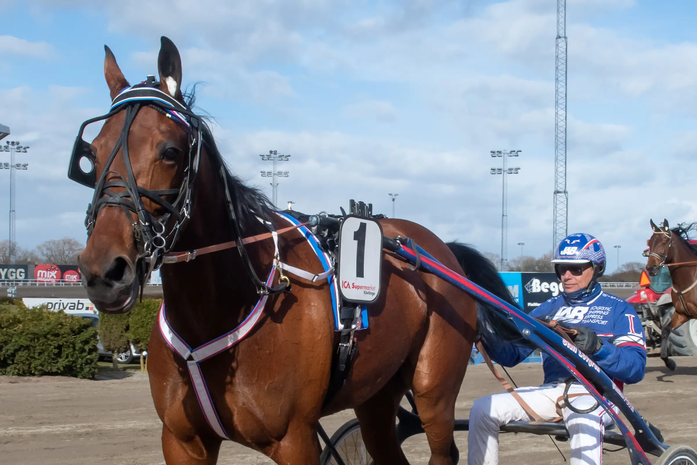 Lady Beluga och Joakim Lövgren startar från bricka 8 i en spårtrappa över kort distans på lördag, förutsättningar som borde vara gynnsamma på Jägersro. Foto: Mikael Rosenquist/TR Bild