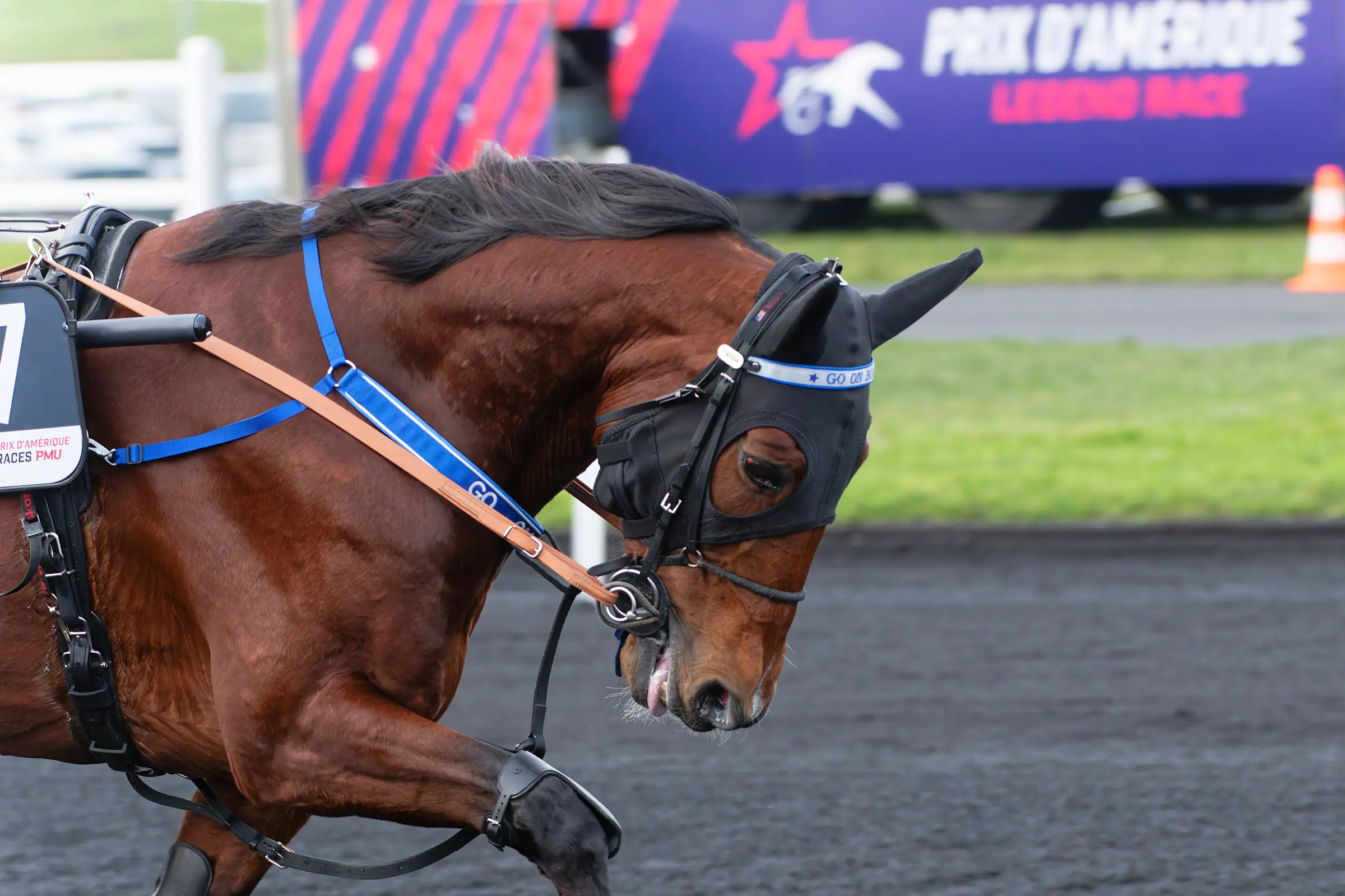 Foro: Jean-Luc Lamaère/TR Bild