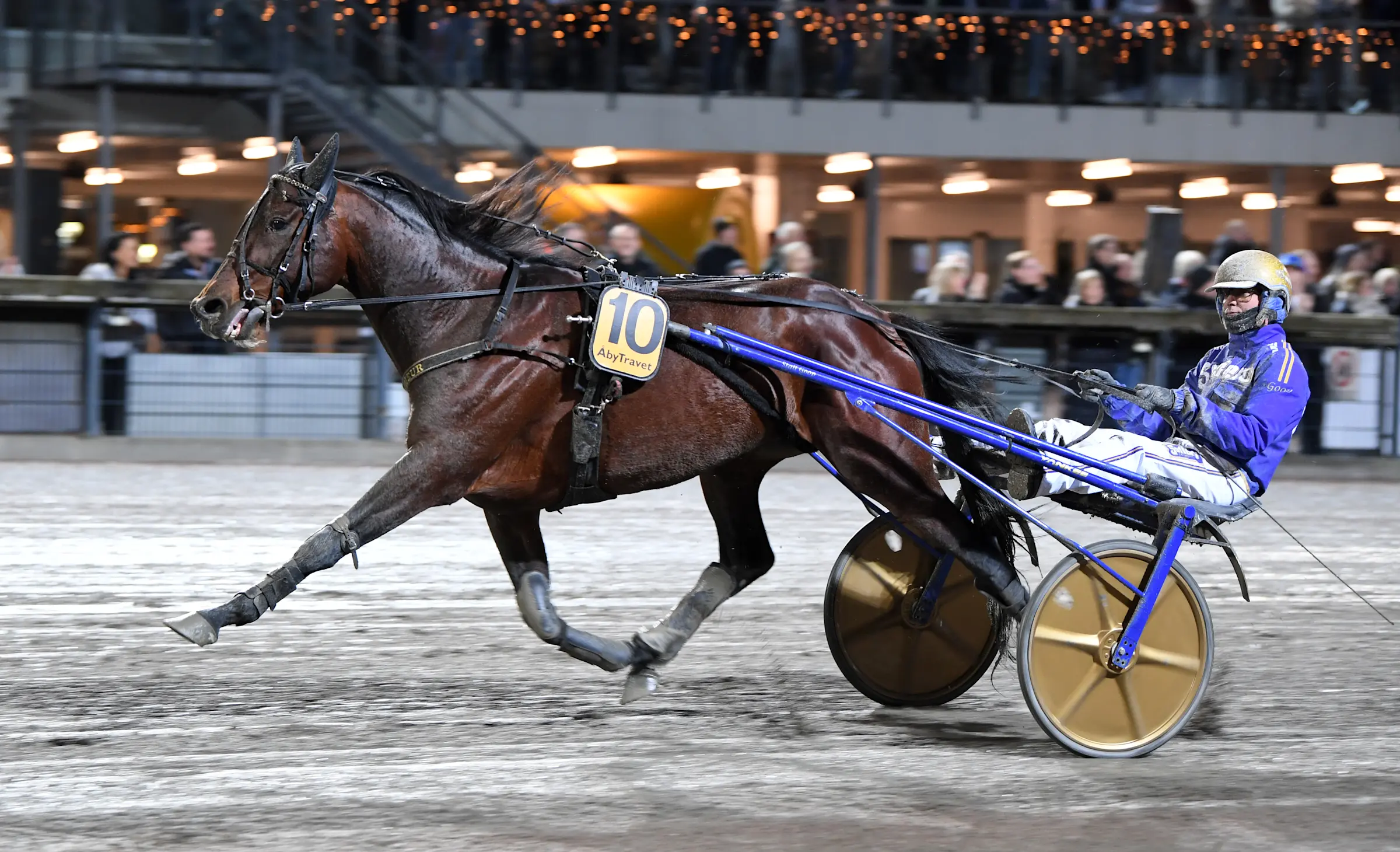 San Moteur och Björn Goop vid hästens senaste seger på Åbytravet i december. Foto: Malin Albinsson/TR Bild