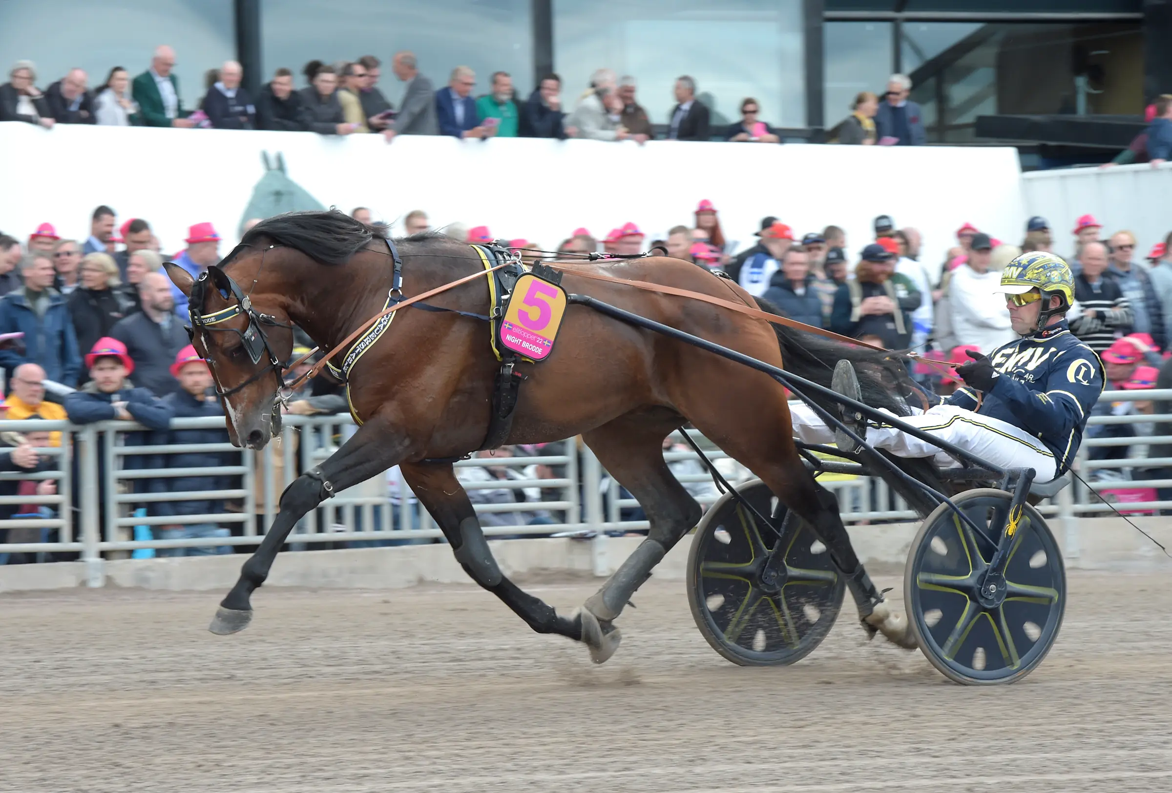 Night Brodde lägger tävlingsskorna på hyllan. Foto: Lars Jakobsson/TR Bild