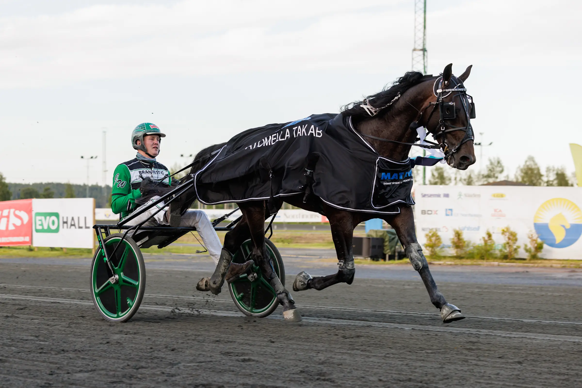 Jörgen Westholm tar sikte mot Prix de France med Working Class Hero. Foto: Lena Emmoth, TR Bild