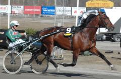 Torvald Palema är fyra på tio-i-topplistan. Foto; A.Lindblom/Travkompaniet