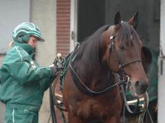 Maharajah är laddad och harmonisk. Foto; A.Lindblom/Travkompaniet