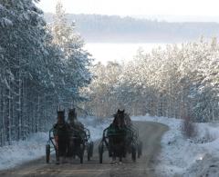 Träningsförhållandena på Yttersta har varit de allra bästa under hela vintern. Foto: Travkompaniet