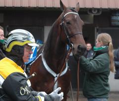 Om några timmar är det dags för Örjan och Maharajah att bege sig ut på Vincennes igen. Foto; A.Lindblom