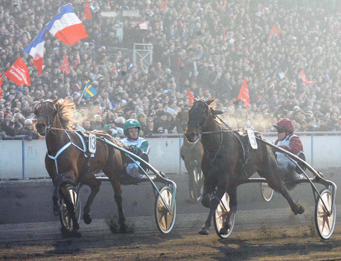 Maharajah bredvid Ready Cash i Prix D´Amérique, de två bästa hästarna i världen? Foto: C. Kärrstrand