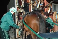 Stefan hade svårt att dölja hur nöjd han var över hur Maharajah kändes i dagens träningsjobb. Foto: Travkompaniet